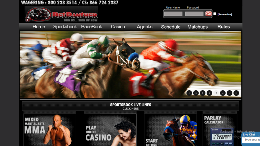 Bet Panther screenshot
