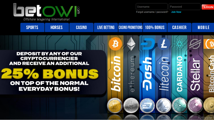 BetOWI screenshot