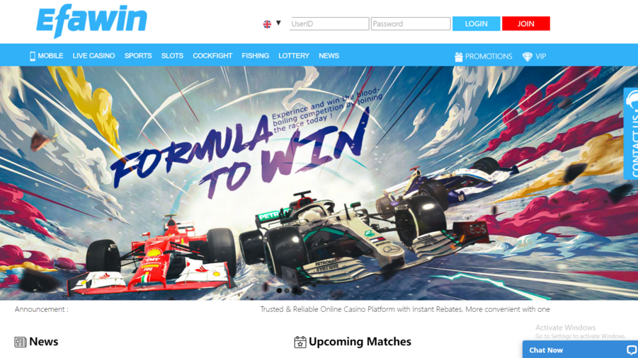 Efawin screenshot