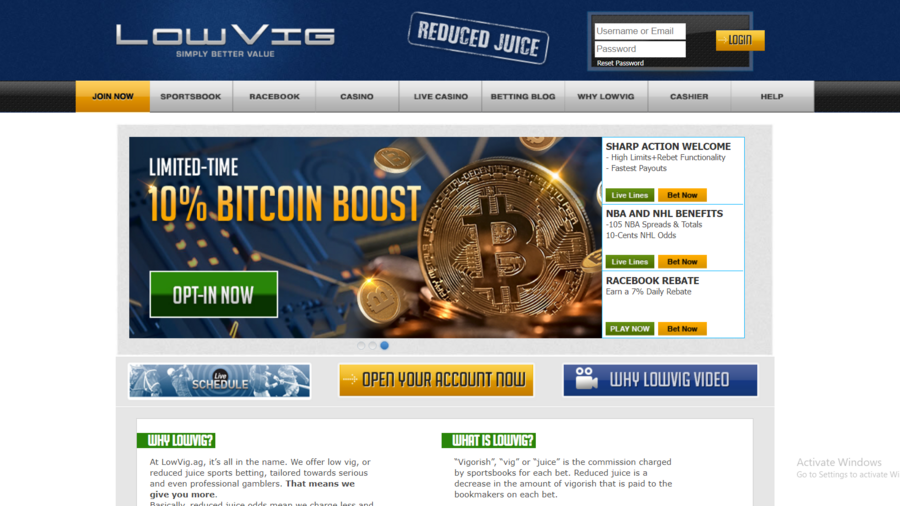 LowVig screenshot