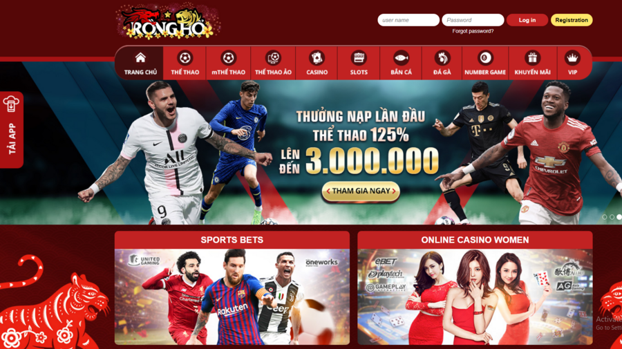 Rong Ho screenshot
