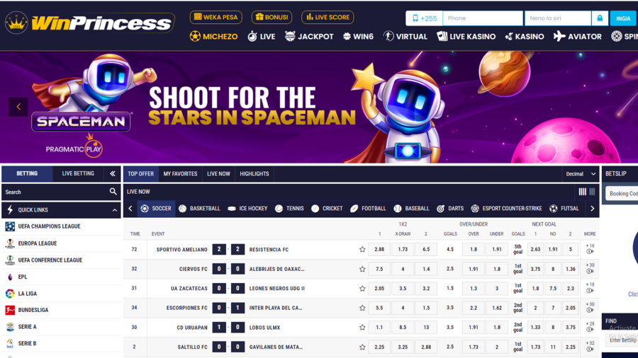 WinPrincess screenshot